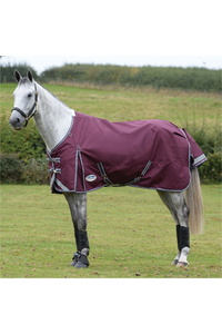 Weatherbeeta Comfitec Plus Dynamic II Medium-Lite Standard Neck Turnout Rug - Maroon